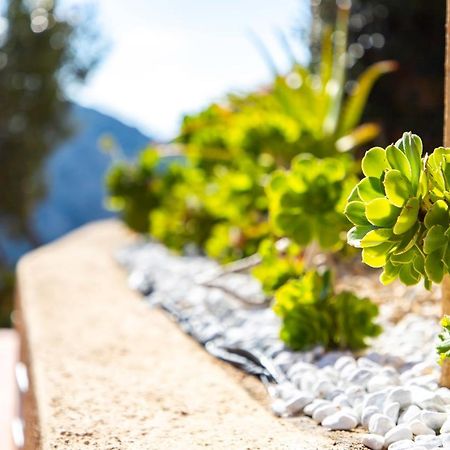 Villa Esmeralda - Free Wifi - With Swimming Pool Costa Paradiso Bagian luar foto