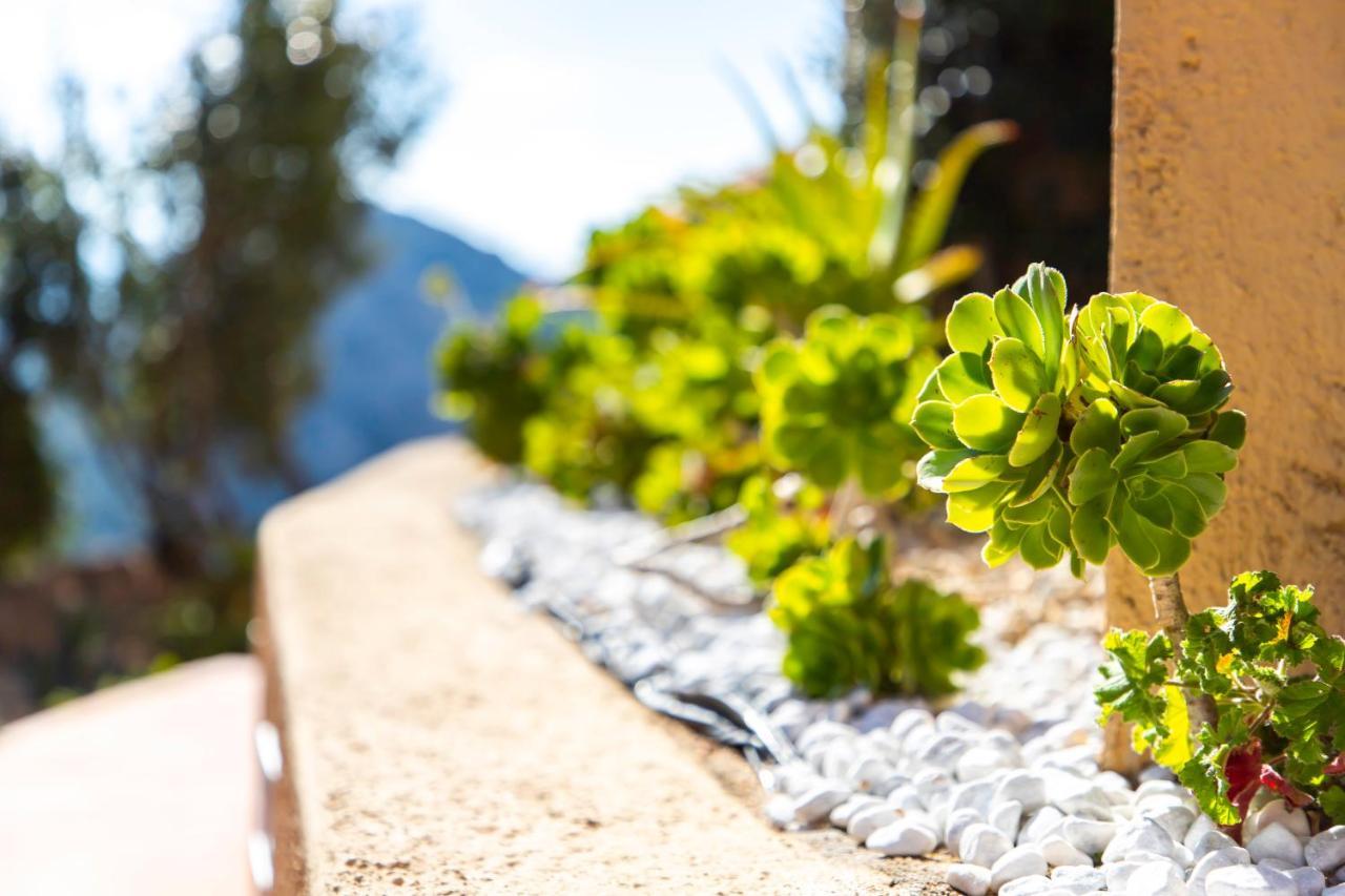 Villa Esmeralda - Free Wifi - With Swimming Pool Costa Paradiso Bagian luar foto